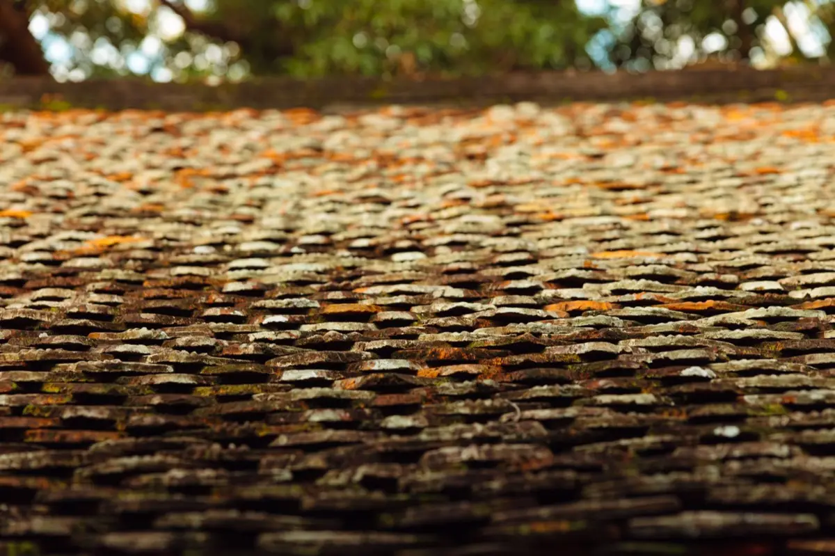 Roof Coatings & Sealing in St. Cloud, MN